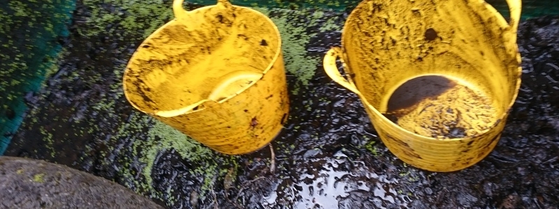 Our new responsive website is finally here.