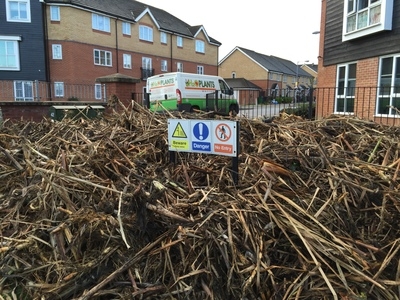 Reedbed removal, Hertfordshire