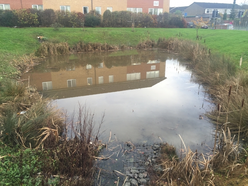 Reedbed removal, Hertfordshire