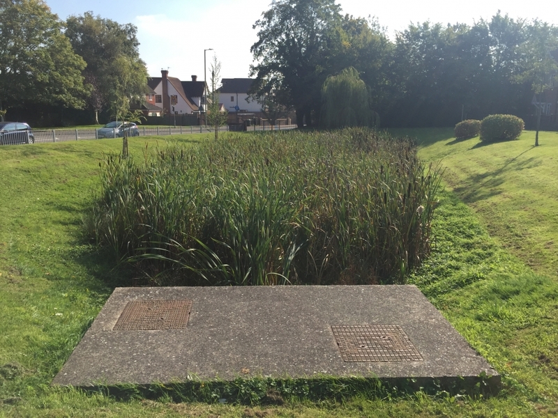 Reedbed removal, Hertfordshire