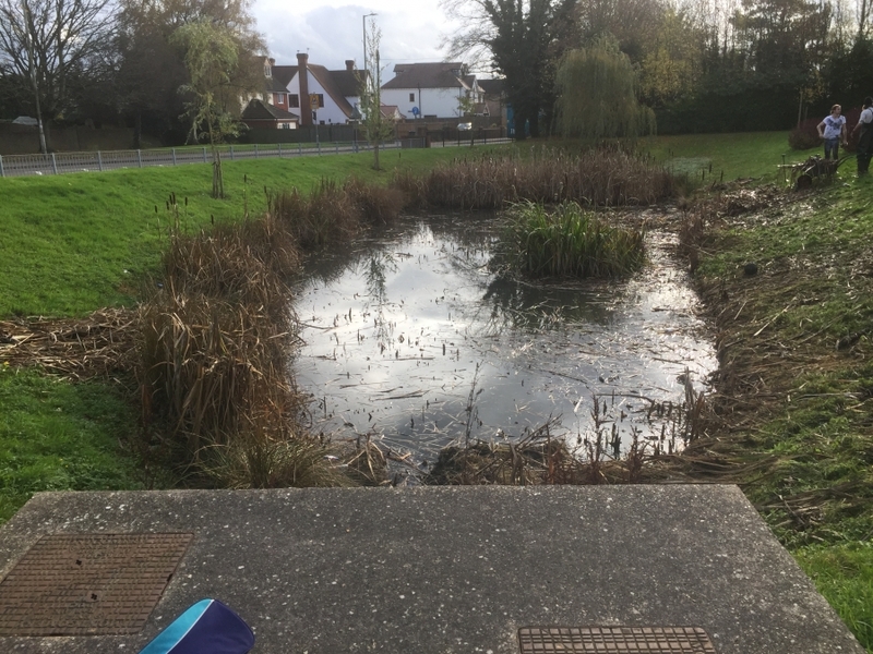 Reedbed removal, Hertfordshire