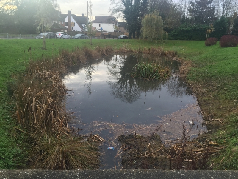 Reedbed removal, Hertfordshire