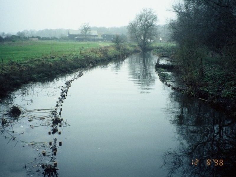 River Lea, Bayford, Hertfordshire planting