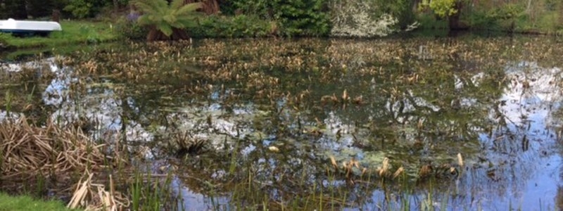 Water Solder removal South Woodham Ferres Water Solder removal South Woodham Ferres