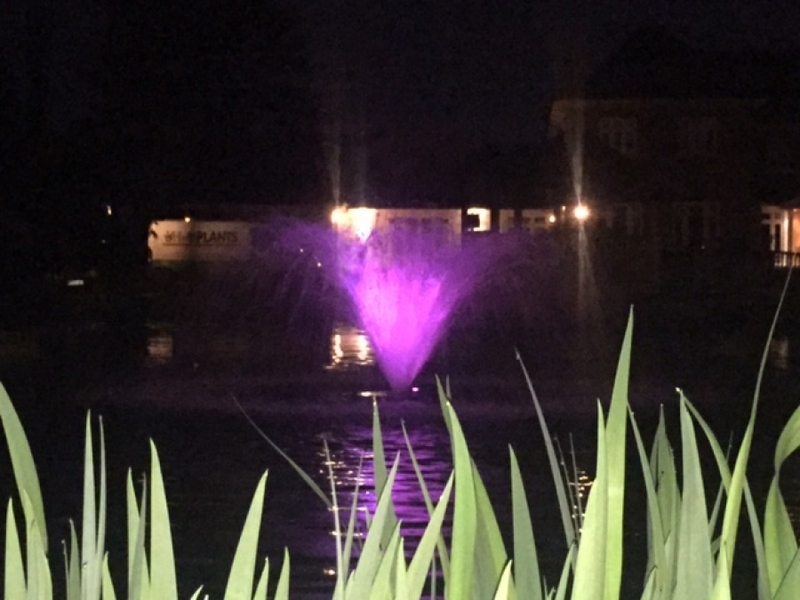 Otterbine Fractional series aerating fountain in Chigwell, Essex with RGB LED lights