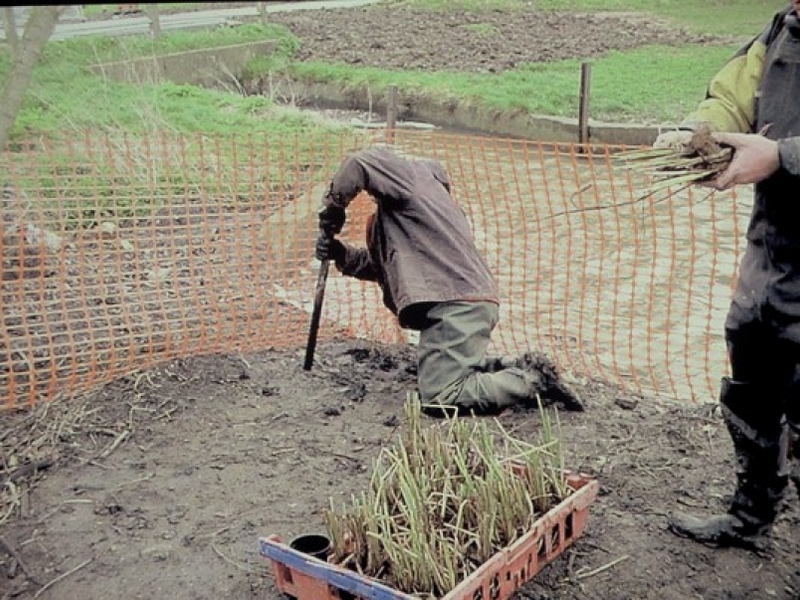 Harlow Council, Harlow, Essex lake restoration