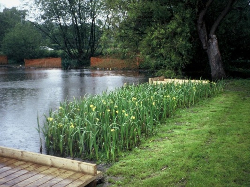 Harlow Council, Harlow, Essex lake restoration