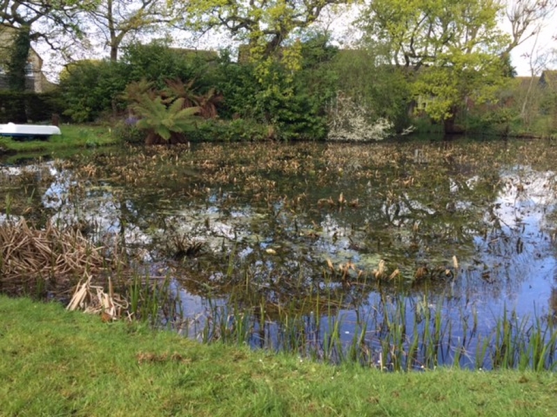 Aerating fountain installation South Woodham Ferres, Essex