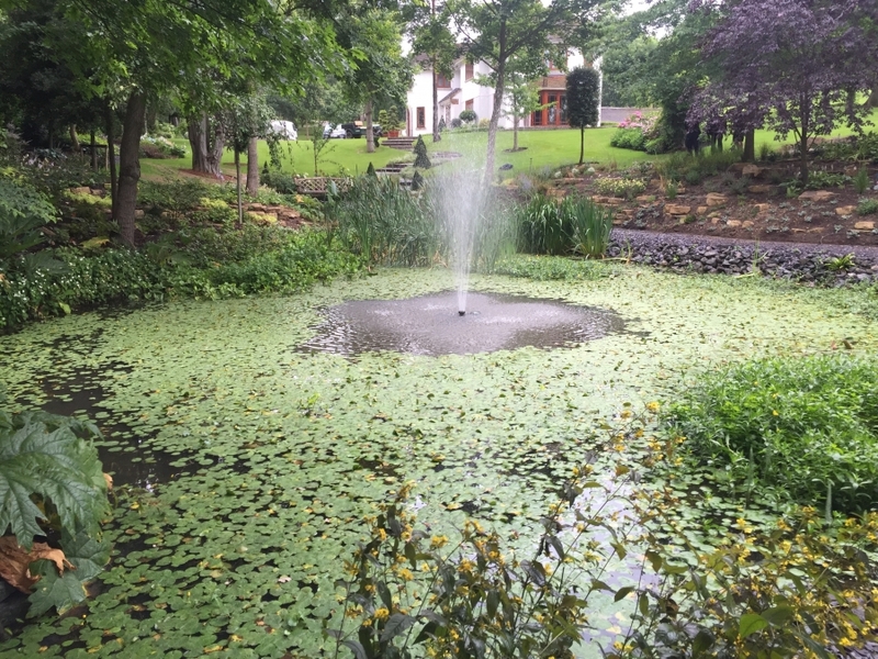 Cuffley, Hertfordshire weed removal