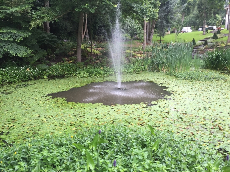 Cuffley, Hertfordshire weed removal