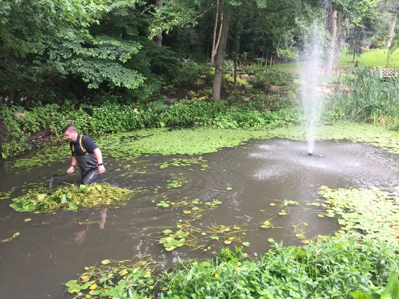 Cuffley, Hertfordshire weed removal