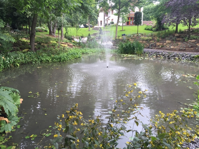 Cuffley, Hertfordshire weed removal