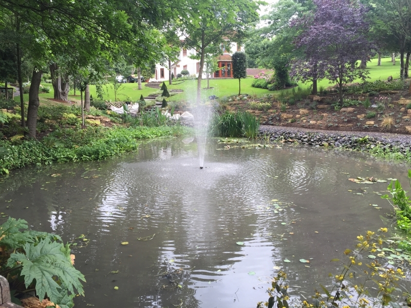 Cuffley, Hertfordshire weed removal