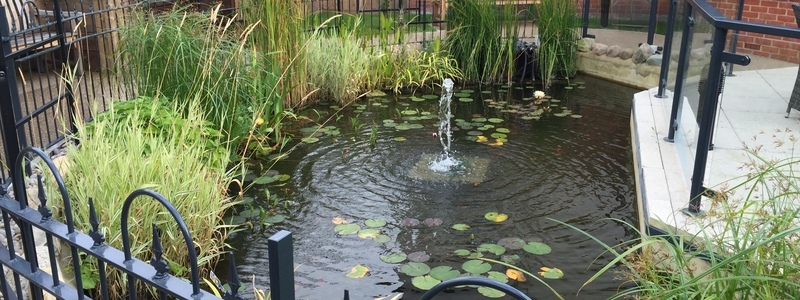 Communal Pond filter upgrade and aquatic vegetation installation Harrow, Middlesex