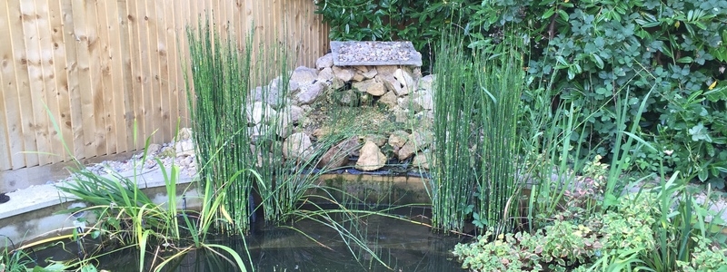 Communal pond waterfall repair and aquatic vegetation installation Camberley, Surrey