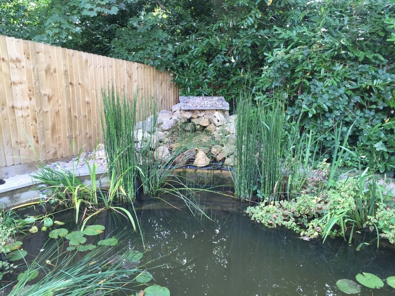 Communal pond waterfall repair and aquatic vegetation installation Camberley, Surrey