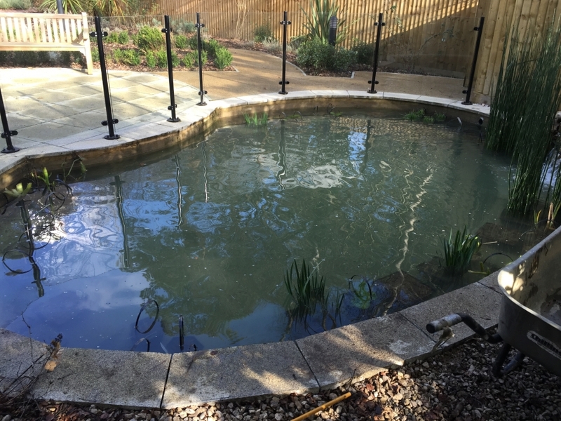 Communal pond waterfall repair and aquatic vegetation installation Camberley, Surrey