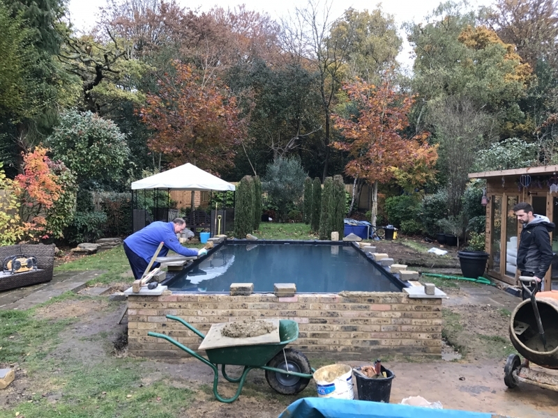 Fish transportation & Koi pond build, Loughton, Essex