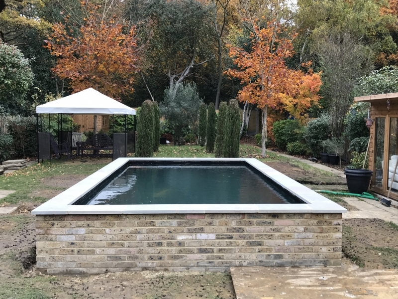 Fish transportation & Koi pond build, Loughton, Essex