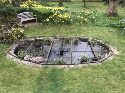 Professor Ian Gordon pond clean, Cambridge 