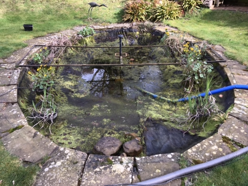 Professor Ian Gordon pond clean, Cambridge 