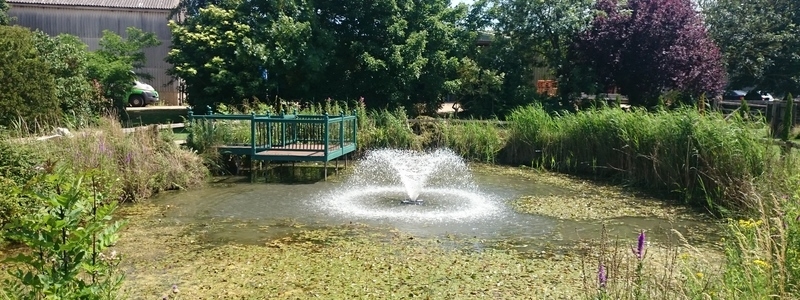 Over Cambridgeshire weed removal and fountain installation
