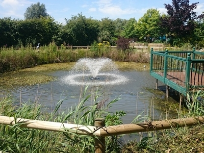 Over Cambridgeshire weed removal and fountain installation