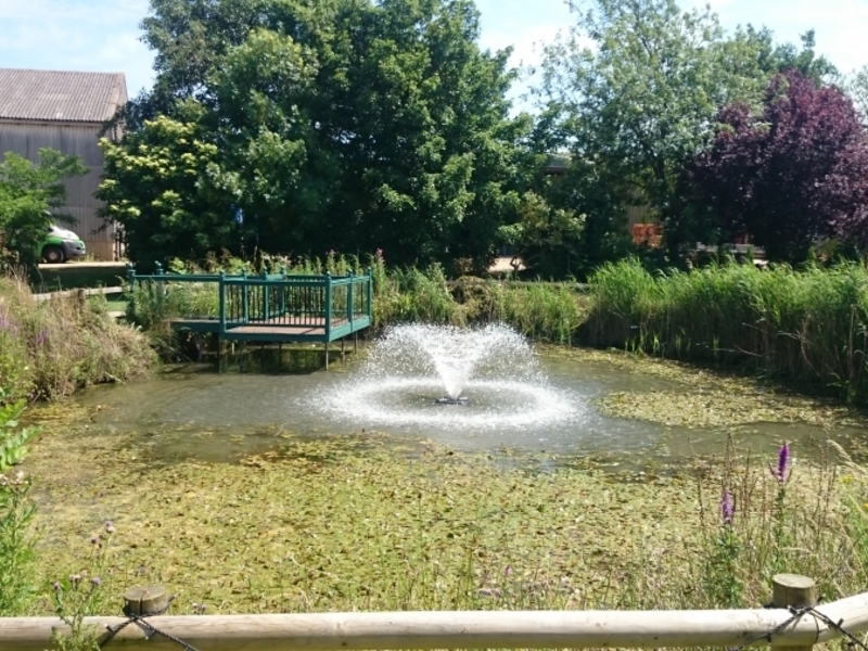 Over Cambridgeshire weed removal and fountain installation