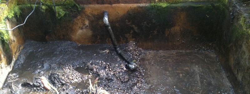 Cambridge pond & water feature renovation 