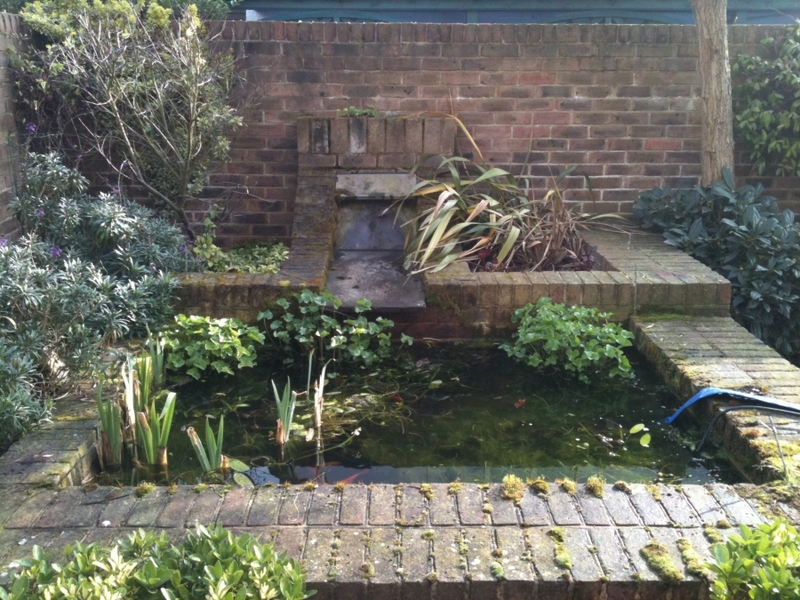 Cambridge pond & water feature renovation 