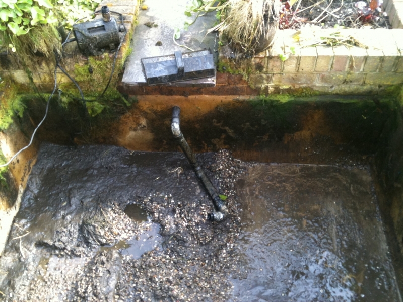 Cambridge pond & water feature renovation 