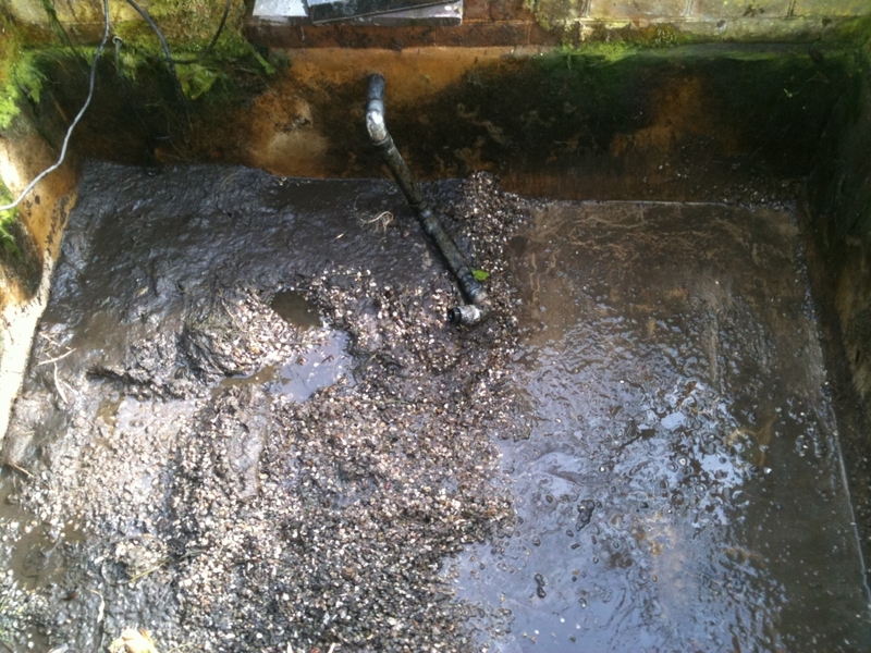 Cambridge pond & water feature renovation 