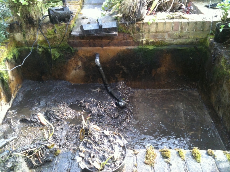 Cambridge pond & water feature renovation 