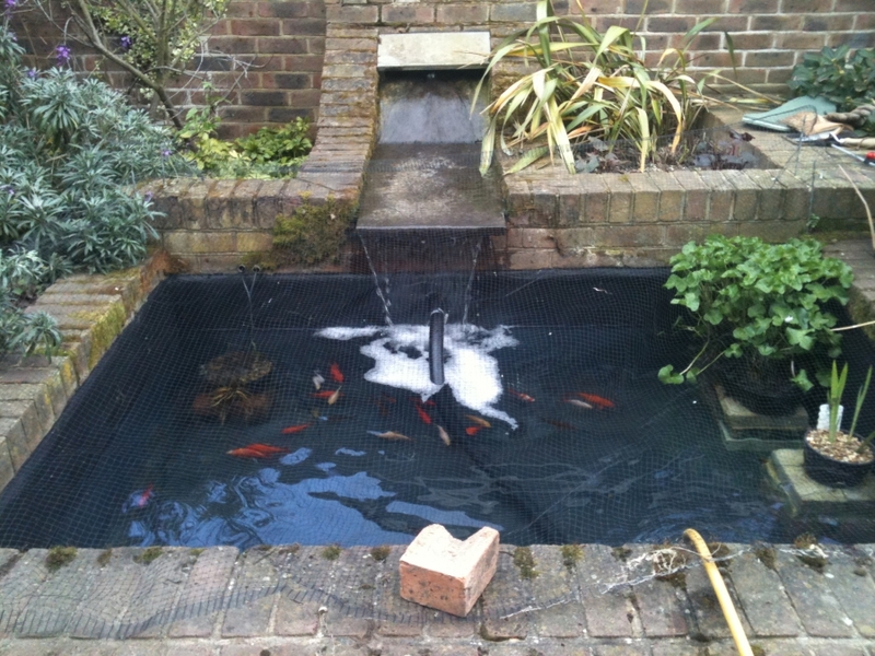 Cambridge pond & water feature renovation 