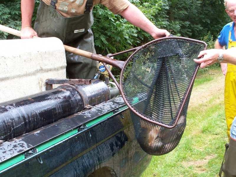 Amwell Magna fishery Hertfordshire fish transportation