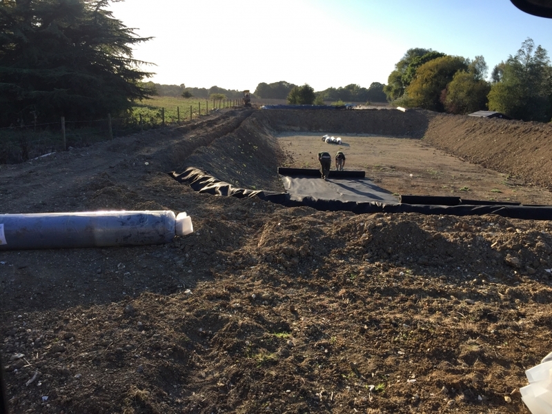 Great Hallingbury, Essex stock pond construction, Firestone EPDM linings, Fish supply and fish transportation