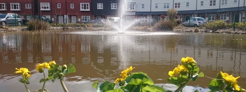 Residential Pond Maintenance, Sandwich, Kent