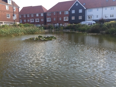 Residential Pond Maintenance, Sandwich, Kent