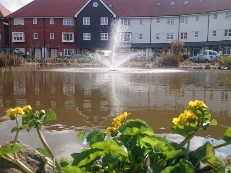 Residential Pond Maintenance, Sandwich, Kent