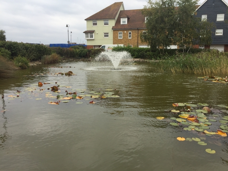 Residential Pond Maintenance, Sandwich, Kent