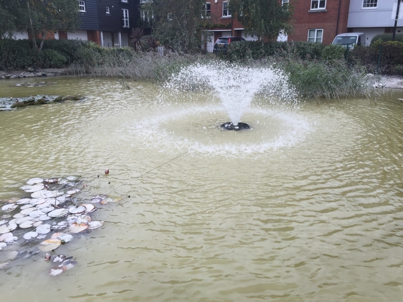 Residential Pond Maintenance, Sandwich, Kent