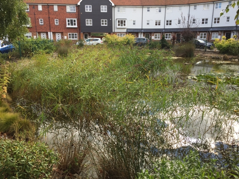 Residential Pond Maintenance, Sandwich, Kent