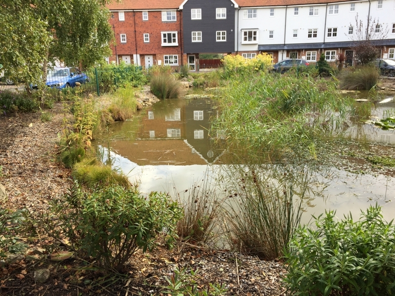 Residential Pond Maintenance, Sandwich, Kent