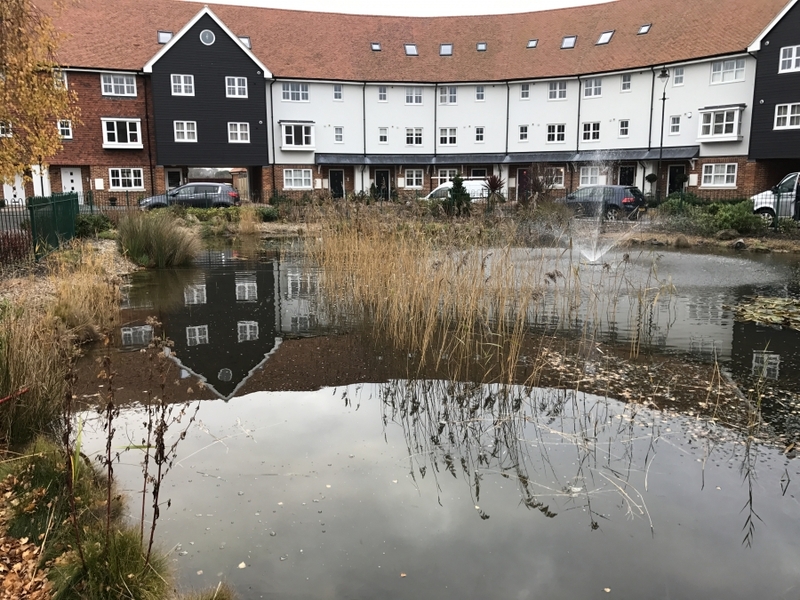 Residential Pond Maintenance, Sandwich, Kent