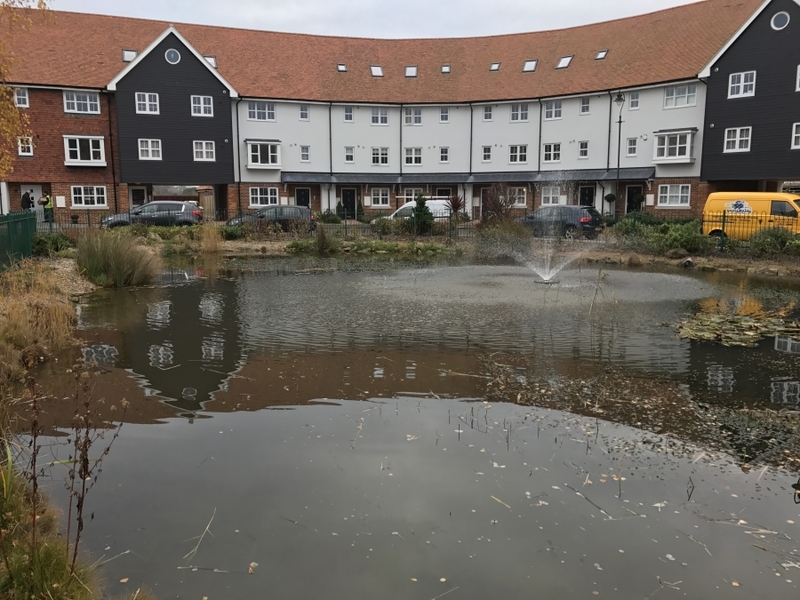 Residential Pond Maintenance, Sandwich, Kent