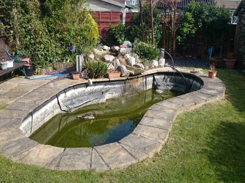 pond clean and filter replacement Chelmsford, Essex 