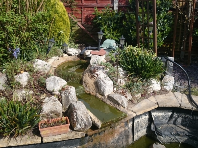 pond clean and filter replacement Chelmsford, Essex 