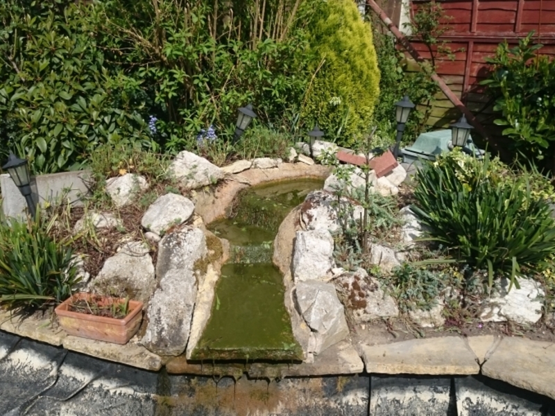 pond clean and filter replacement Chelmsford, Essex 