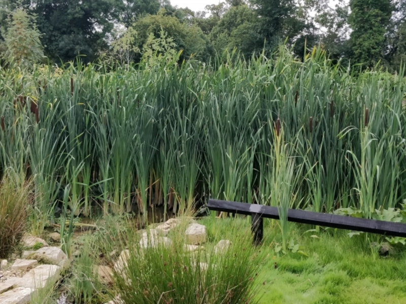 Aerating fountain supply and installation in Enfield London for Tottenham Hotspur Football Club