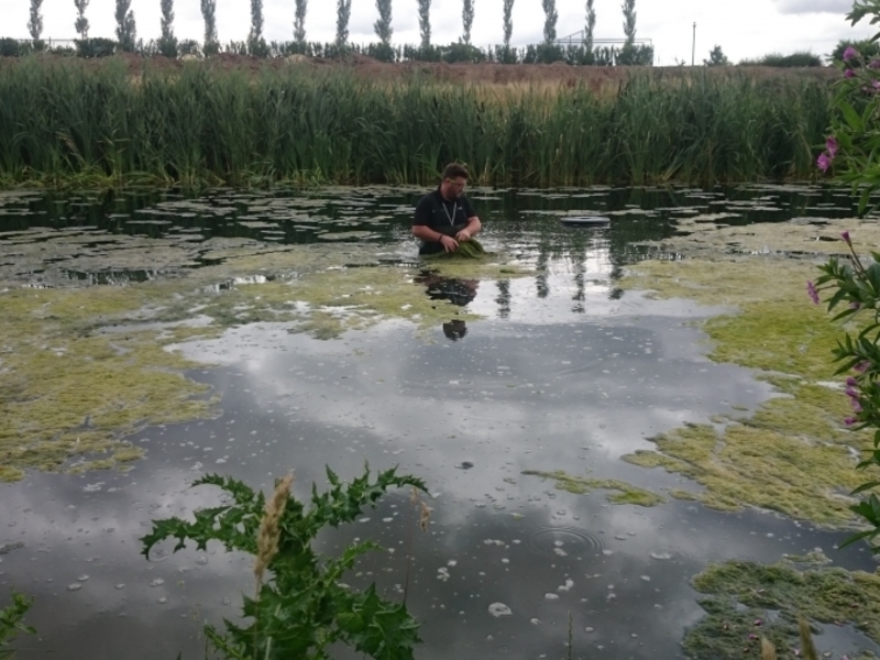 Aerating fountain supply and installation in Enfield London for Tottenham Hotspur Football Club